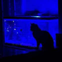 tell me everything will be okay