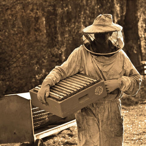 The Beekeper