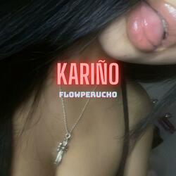 Kariño
