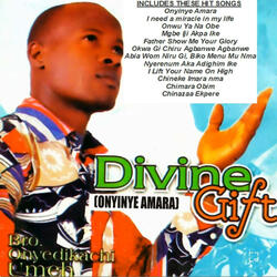 Divine Gift, Vol. 1 (Onyinye Amara).