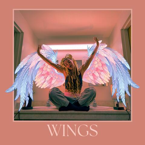 WINGS