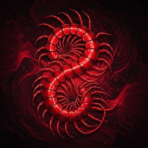 Centipede