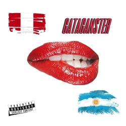 Gataganster (feat. Teffy Arn)