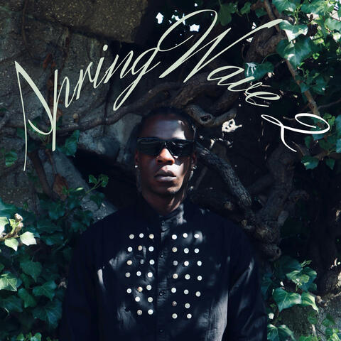 SpringWave 2