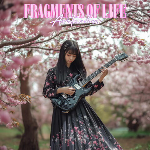 Fragments of Life