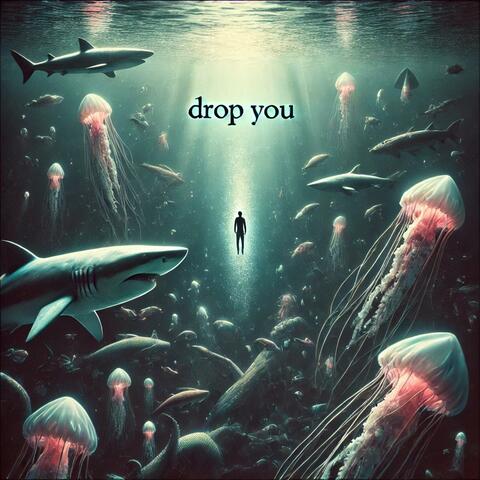 Drop You