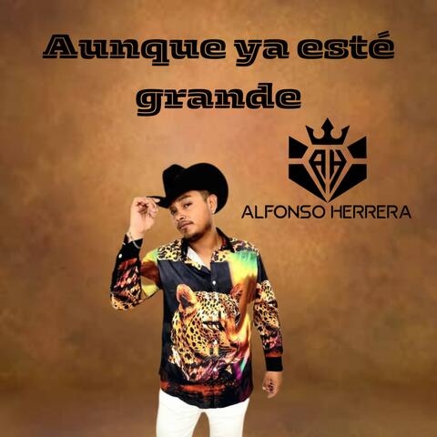Aunque ya este grande