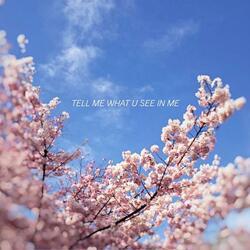 TELL ME WHAT U SEE IN ME