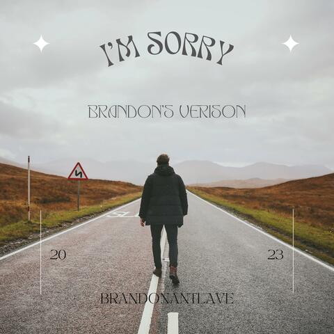I'm Sorry (Brandon's Version)