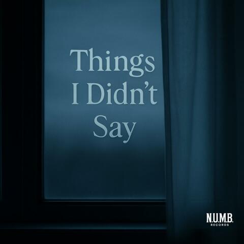 Things I Didn't Say