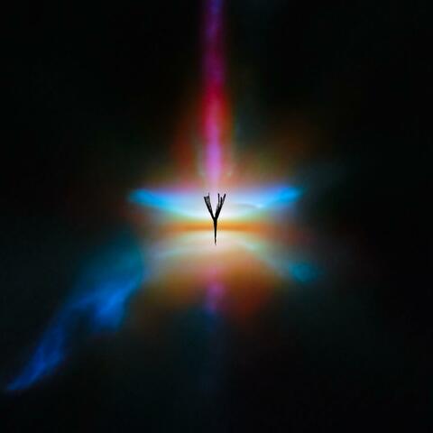 Y