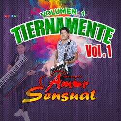 TIERNAMENTE (Volumen 1)