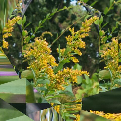 destination (10 year anniversary rework)