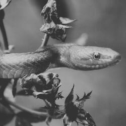 Ya no vuelvas (solo)