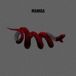 MAMBA