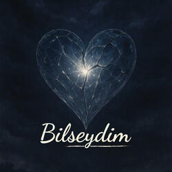 Bilseydim