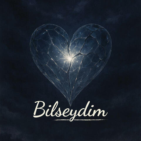 Bilseydim