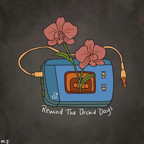 Rewind the orchid days