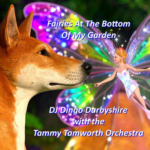 Fairies At The Bottom Of My Garden