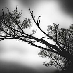 Meditations III