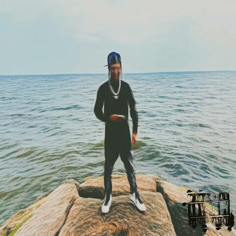 B4 D.D.V