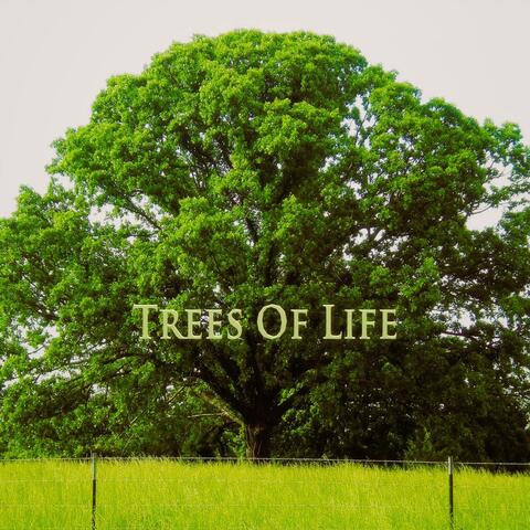 TREES OF LIFE