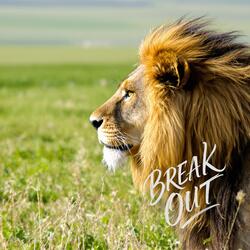 BREAK OUT