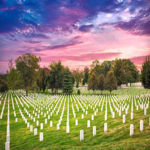 ARLINGTON (Veterans Tribute)