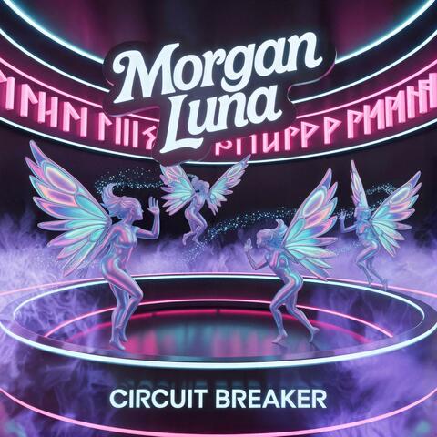 Circuit Breaker