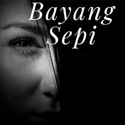 Bayang Sepi