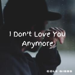 I Don't Love You Anymore