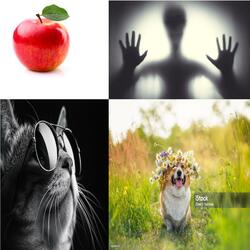 i want to eat your liver