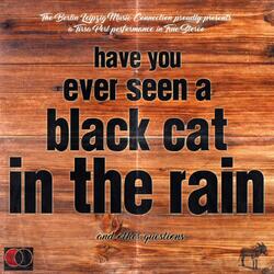 Black Cat In The Rain