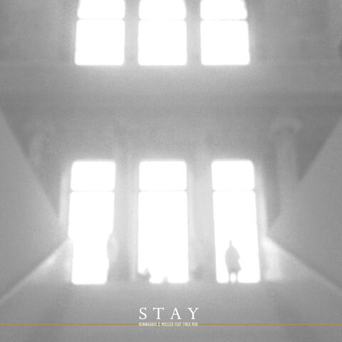 Stay