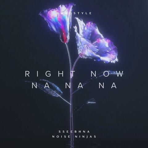 Right now (NOISE NINJAS Version)