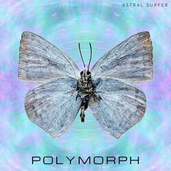 Polymorph