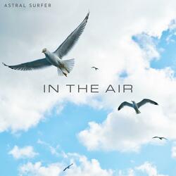 In the Air