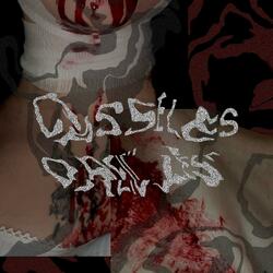 CASSELESOREILLES.dump