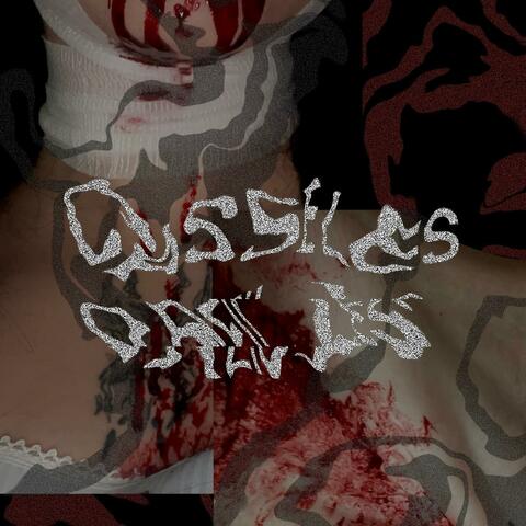 CASSELESOREILLES.dump