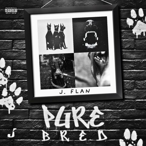 PURE BRED ((MUTT REMIX))
