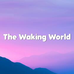 The Waking World