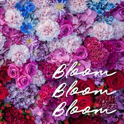 Bloom Bloom Bloom