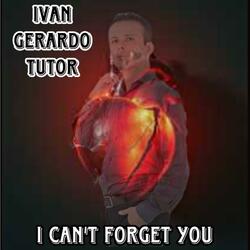 I can’t forget you