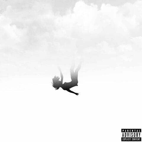 Fell from the Sky