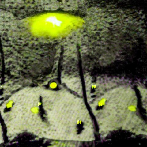 Do Ghost Laugh ? EXTRAS EDITION