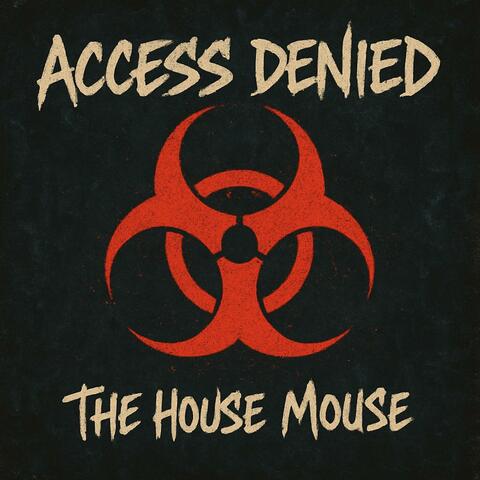 Access Denied (Ready or Not)
