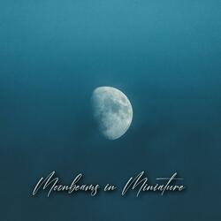 Moonbeams in Miniature