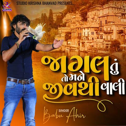 જાગલ તુ તો મને જીવ થી વાલી || JAGAL TU TO MANE JIV THI VALI || BABU AHIR