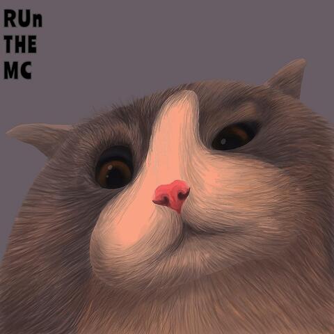 Run the MC
