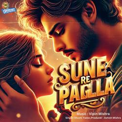 Sun Re Pagla |सुन रे पगला | Maithili Song | Jai Mithila Music